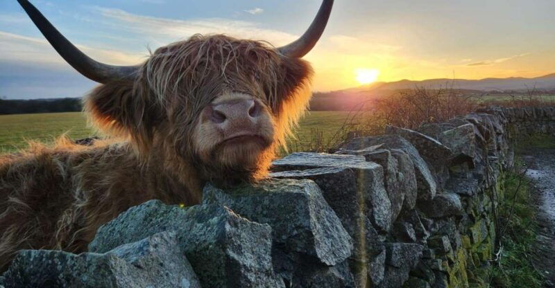 private-tour-of-highlands-oban-glencoe-lochs-castles