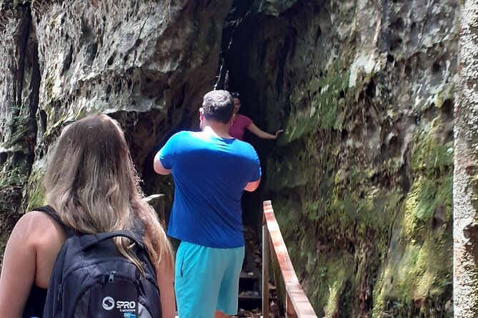 private-tour-of-iracema-and-asframa-waterfalls-in-manaus