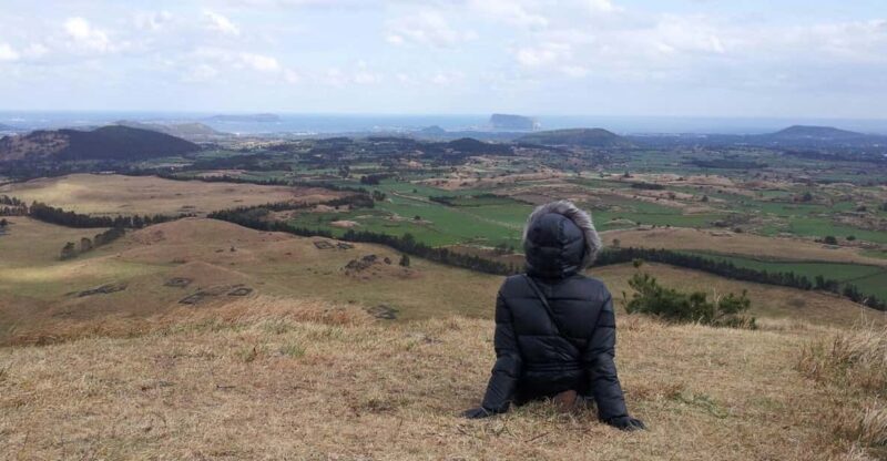 Private tour of Jeju Island, by car, at your own pace - Navigating the Price: Is It Worth It?