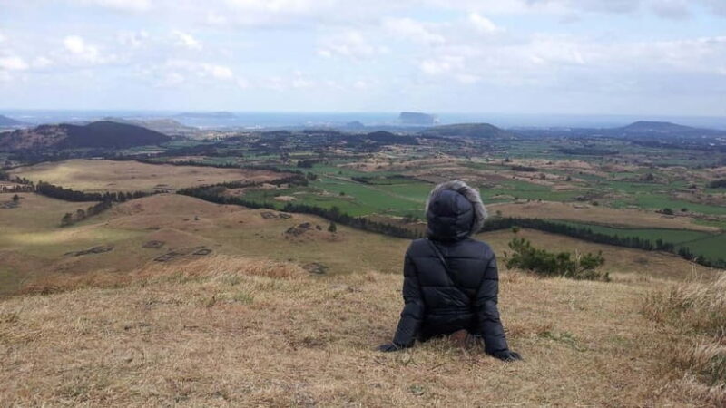 Private tour of Jeju Island, by car, at your own pace - Who Is This Tour Best For?