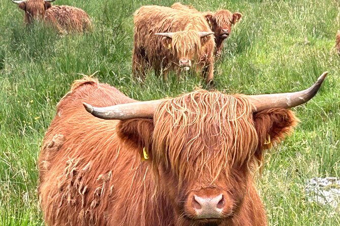 private-tour-of-loch-ness-glencoe-and-highlands-from-edinburgh