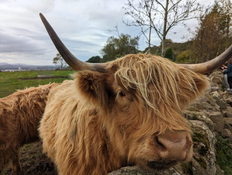 private-tour-of-loch-ness-pitlochry-glencoe-and-highlands