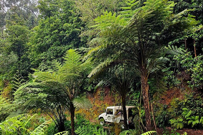 private-tour-of-madeira-island