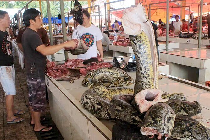 Private tour of Manado and Tomohon including lunch and driver - Who Would Enjoy This Tour?