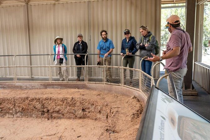 private-tour-of-mesa-verde-with-an-archeologist-trained-guide