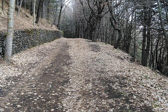 private-tour-of-mount-etna-and-the-alcantara-gorges-2