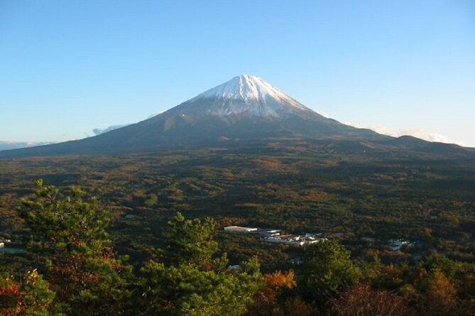 private-tour-of-mt-fuji-culture-and-nature-walk