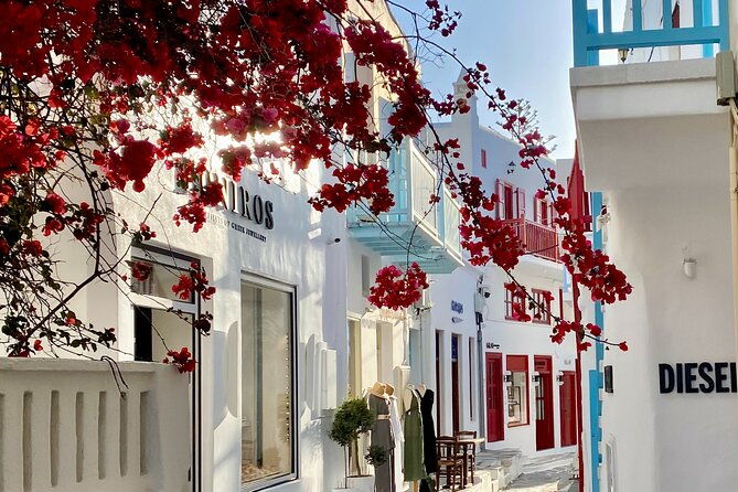 private-tour-of-mykonos-included-town