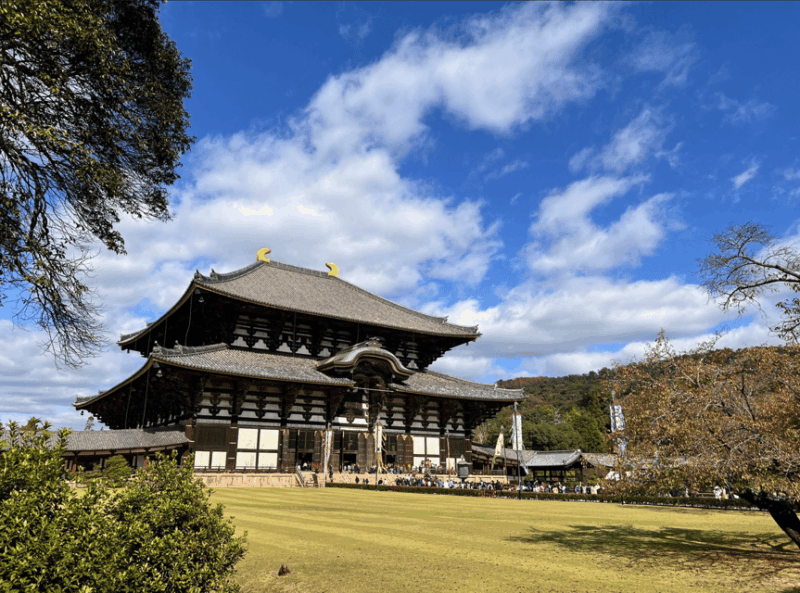 private-tour-of-nara-with-an-english-spanish-speaking-guide