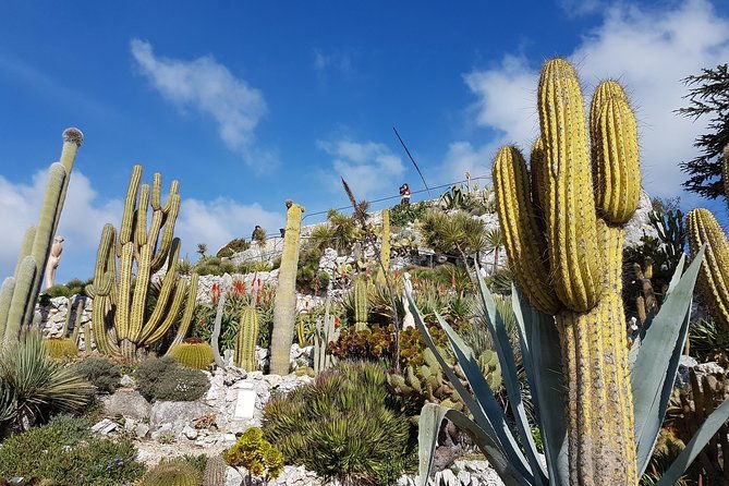 private-tour-of-nice-monaco-eze-with-a-local-guide