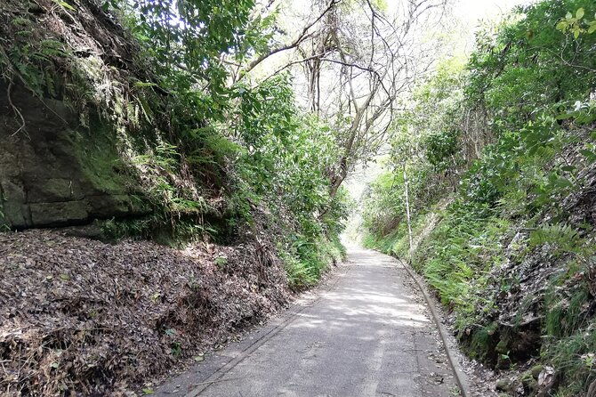 private-tour-of-north-kamakura-temples-with-licensed-guide