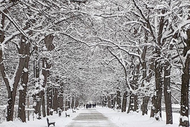 private-tour-of-nymphenburg-palace-and-gardens