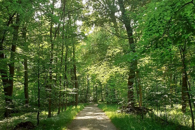 private-tour-of-nymphenburg-palace-and-gardens
