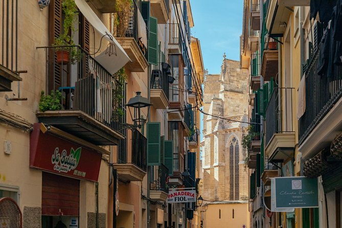 private-tour-of-palma-de-mallorca-highlights-hidden-gems