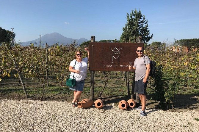 private-tour-of-pompeii-ruins-organic-wine-and-lunch-tasting