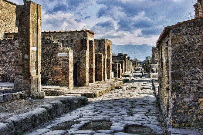 Private tour of Pompeii Ruins, Organic Wine tasting and Lunch - Key Points