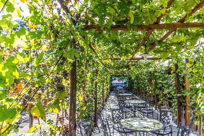 Private tour of Pompeii Ruins, Organic Wine tasting and Lunch - Exploring Pompeii with a Private Guide