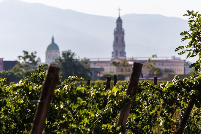 Private tour of Pompeii Ruins, Organic Wine tasting and Lunch - The Practicalities: What to Expect and Tips