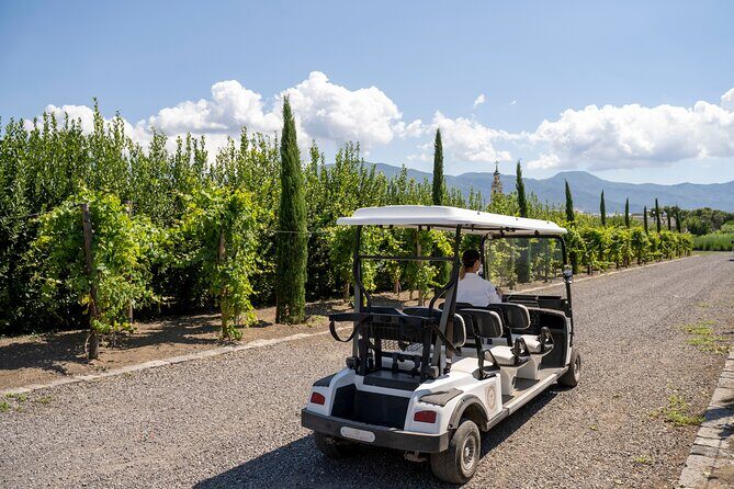 Private tour of Pompeii Ruins, Organic Wine tasting and Lunch - The Authentic Experience: What Travelers Say