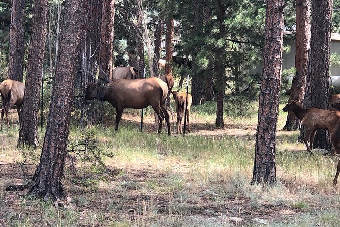 private-tour-of-red-rocks-echo-lake-mount-evans-and-idaho-springs