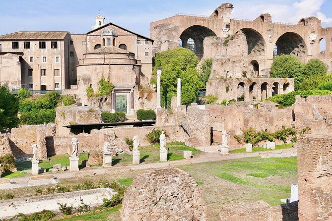 private-tour-of-roman-forum-palatine-hill-and-circus-maximus