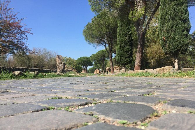 private-tour-of-rome-highlights-and-vatican-museums-skip-the-line-all-included