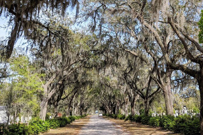 Private Tour of Savannah's Historic/Victorian Districts & Bonaventure Cemetery - An In-Depth Look at the Tour Itinerary