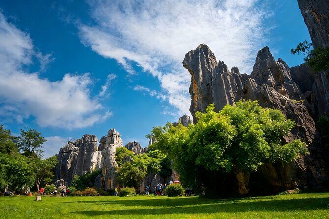 Private Tour of Stone Forest Geological Park in Kunming - Key Points