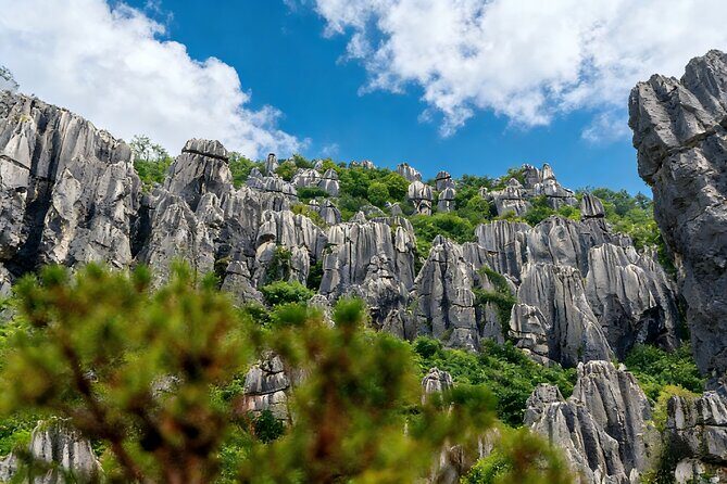 Private Tour of Stone Forest Geological Park in Kunming - Exploring the Yunnan Stone Forest: A Natural Wonder