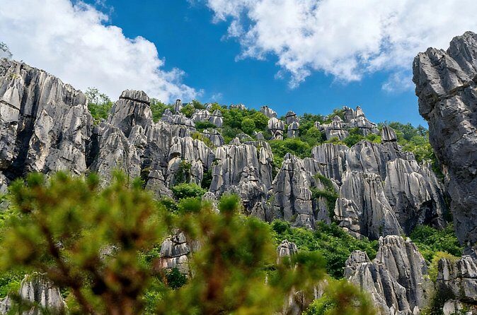 Private Tour of Stone Forest Geological Park in Kunming - FAQ