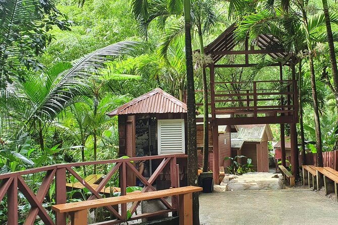 private-tour-of-sulphur-spring-and-toraile-waterfall-in-soufriere