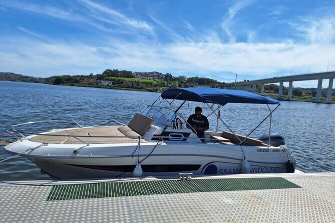 Private Tour of the 6 Bridges with Port Wine - Why This Tour Stands Out