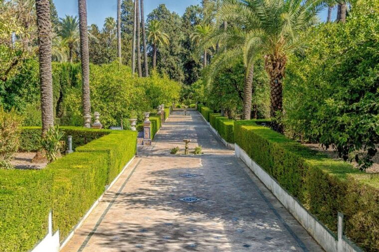 private-tour-of-the-alcazar-the-cathedral-and-the-giralda