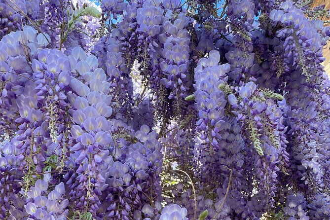 private-tour-of-the-alhambra-in-granada-includes-tickets-2