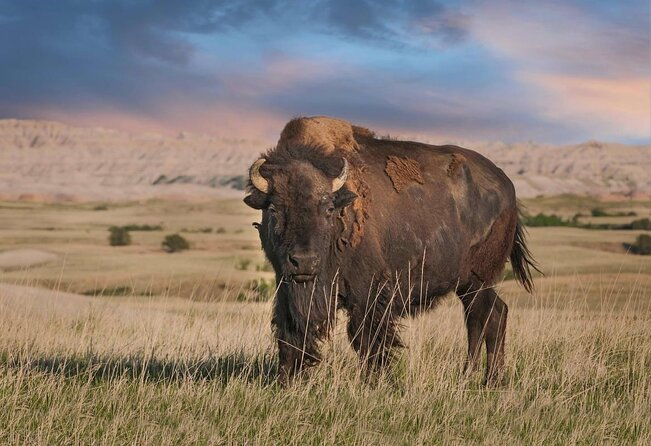 private-tour-of-the-badlands-with-local-experts-2