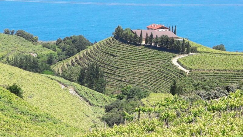 private-tour-of-the-basque-coast-and-countryside