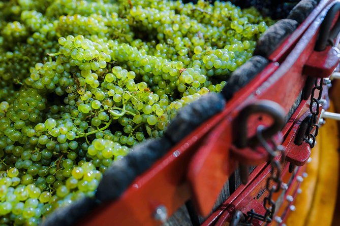 private-tour-of-the-champagne-area-meet-local-producers-and-taste-their-champagne-start-from-your-hotel-in-paris