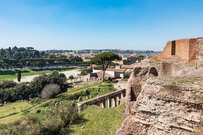 private-tour-of-the-colosseum-with-roman-forum-palatine-hill