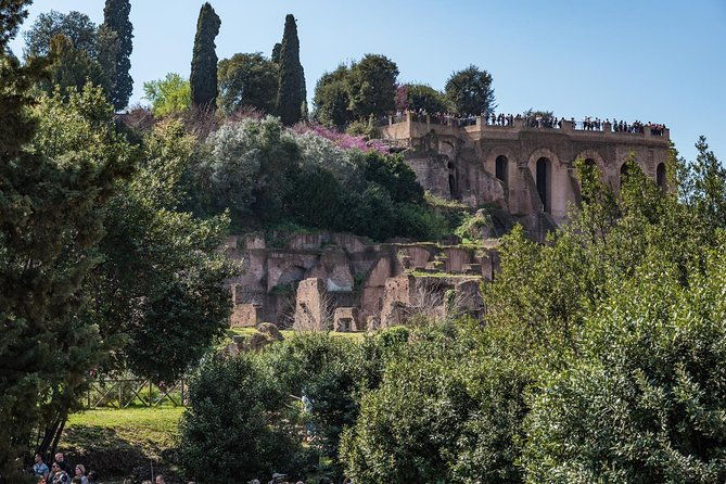 private-tour-of-the-colosseum-with-roman-forum-palatine-hill