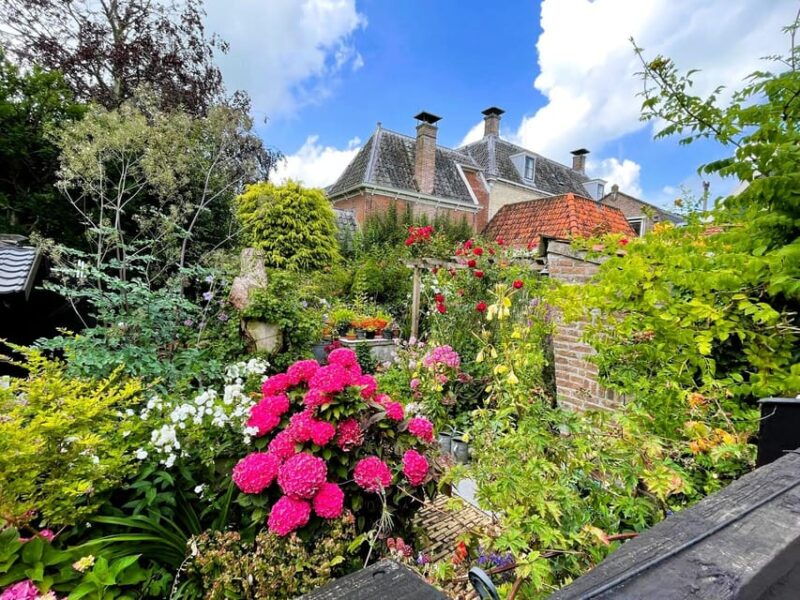 private-tour-of-the-dutch-countryside-by-car