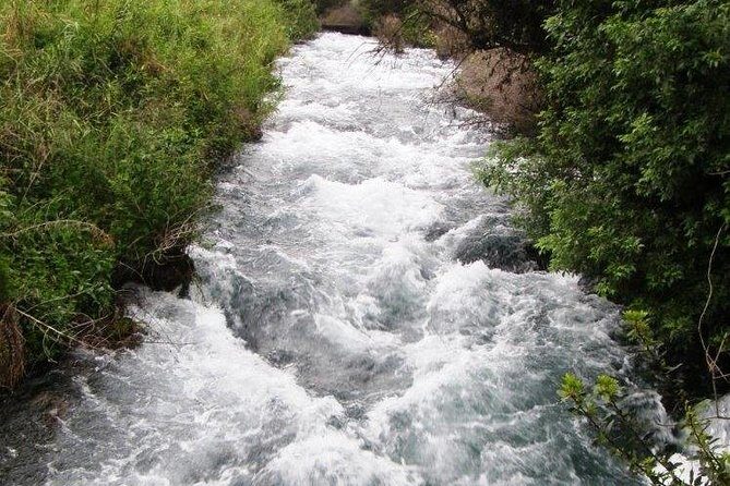 Private tour of the Israeli Far North - Tel Dan, Banias Reserve & Waterfall - Exploring Israel’s Far North: Tel Dan, Banias Reserve & Waterfall