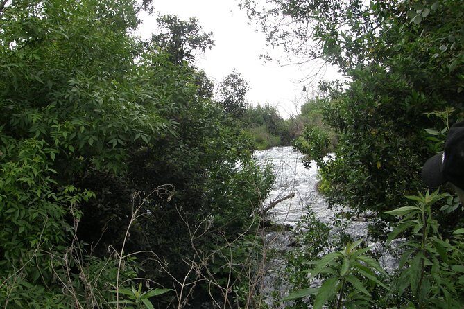 Private tour of the Israeli Far North - Tel Dan, Banias Reserve & Waterfall - Authentic Experiences and Insights from Past Travelers