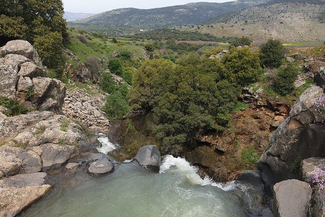 Private tour of the Israeli Far North - Tel Dan, Banias Reserve & Waterfall - The Sum Up