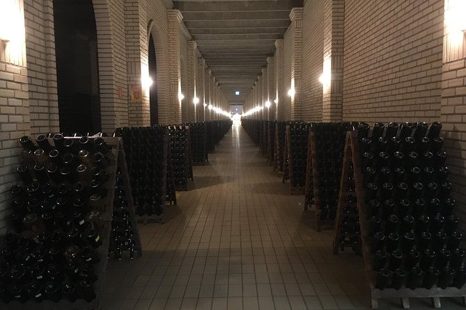 private-tour-of-the-largest-wineries-in-bento-goncalves-rs