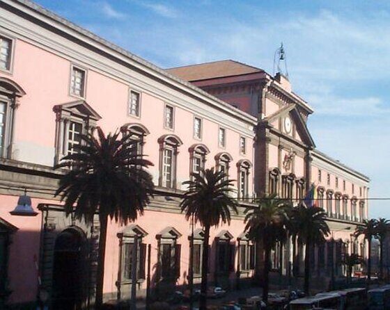 Private Tour of the National Archaeological Museum of Naples - Introduction