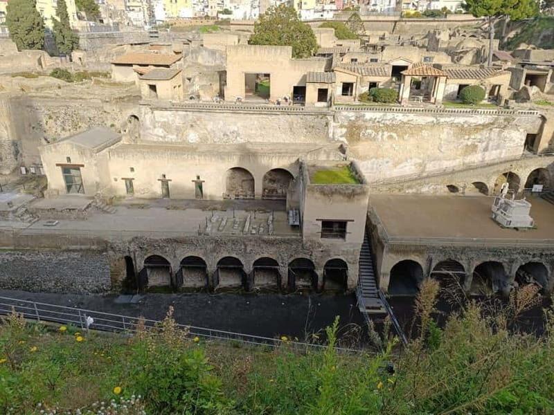 Private Tour of the Ruins of Herculaneum and Vesuvius: with Tickets Included - Key Points  