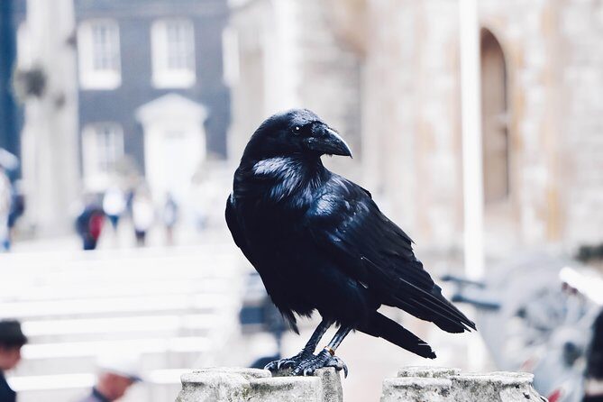 Private Tour of The Tower of London - FAQ