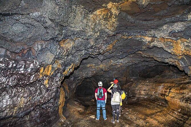Private Tour of the Wild South with a Driver Guide - FAQ