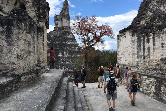 private-tour-of-tikal-from-belize-western-border