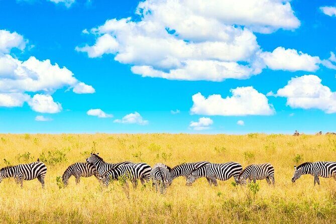 Private Tour of Tsavo East National Park from Mombasa - What to Keep in Mind